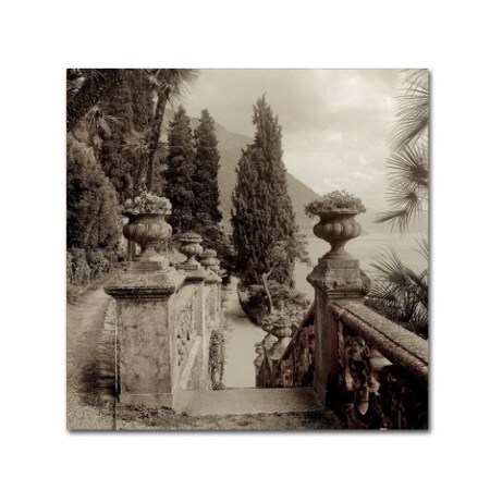 Trademark Fine Art Alan Blaustein 'Lombardy VII' Canvas Art, 14x14 ALI5168-C1414GG